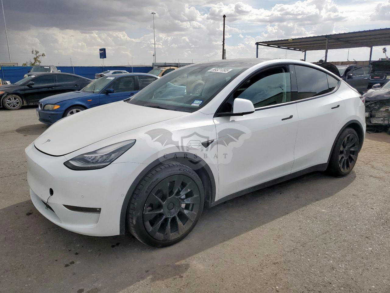 Tesla Model Y 2021