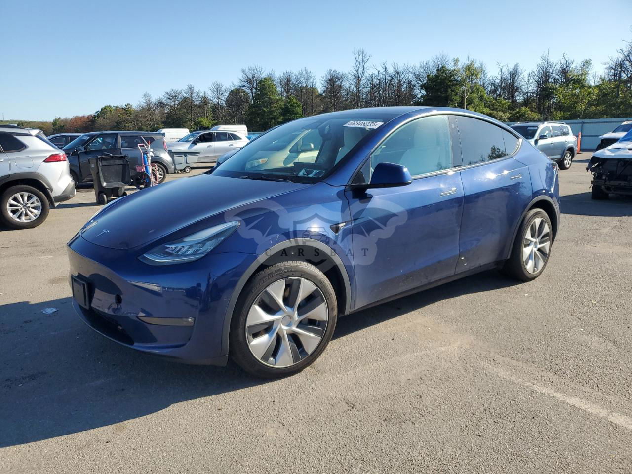 Tesla Model Y 2021