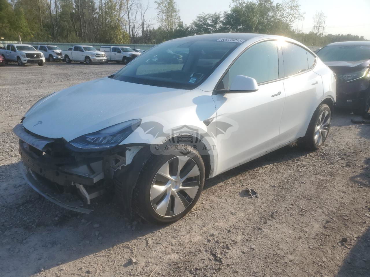 Tesla Model Y 2021