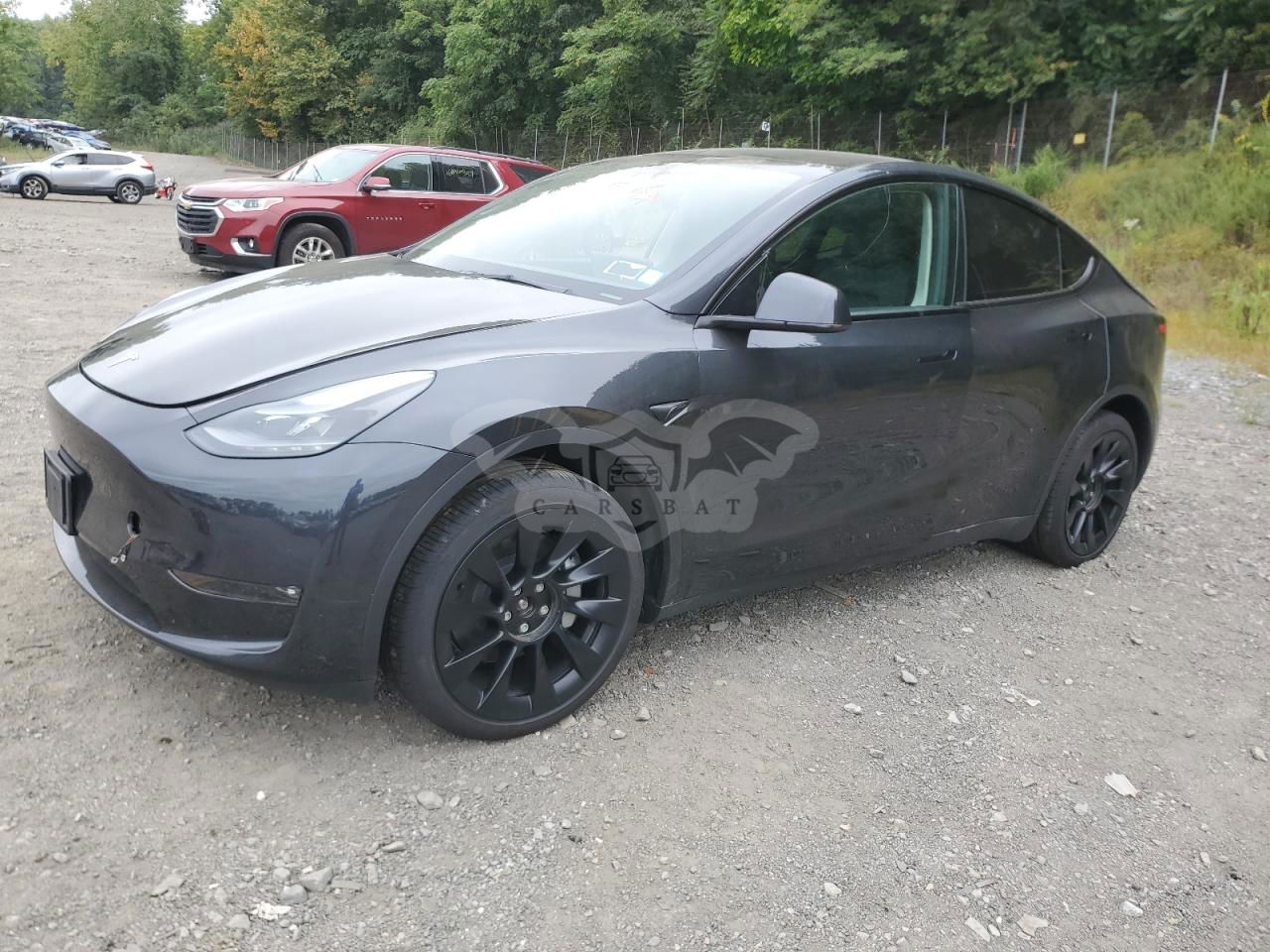 Tesla Model Y 2024
