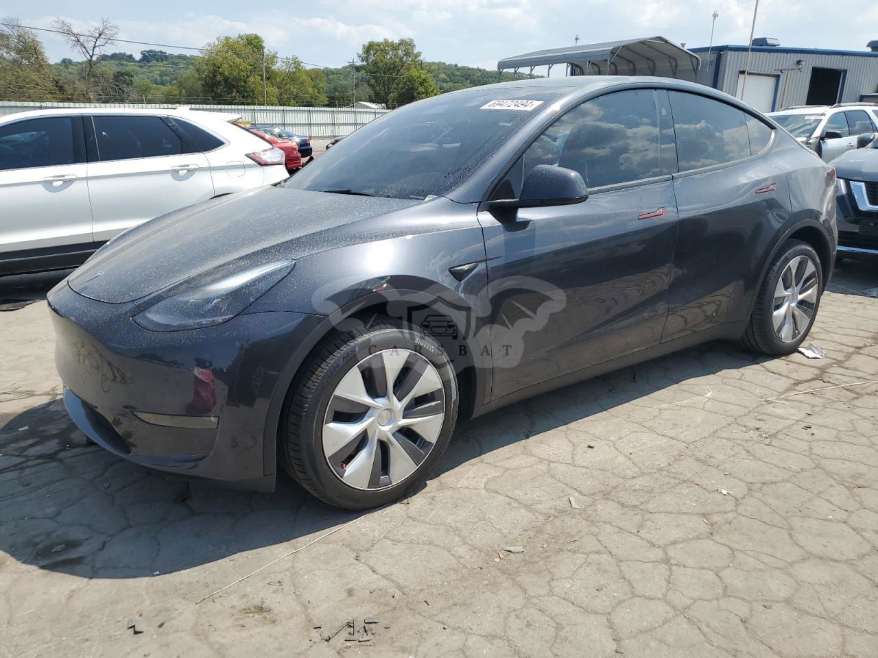 Tesla Model Y 2024