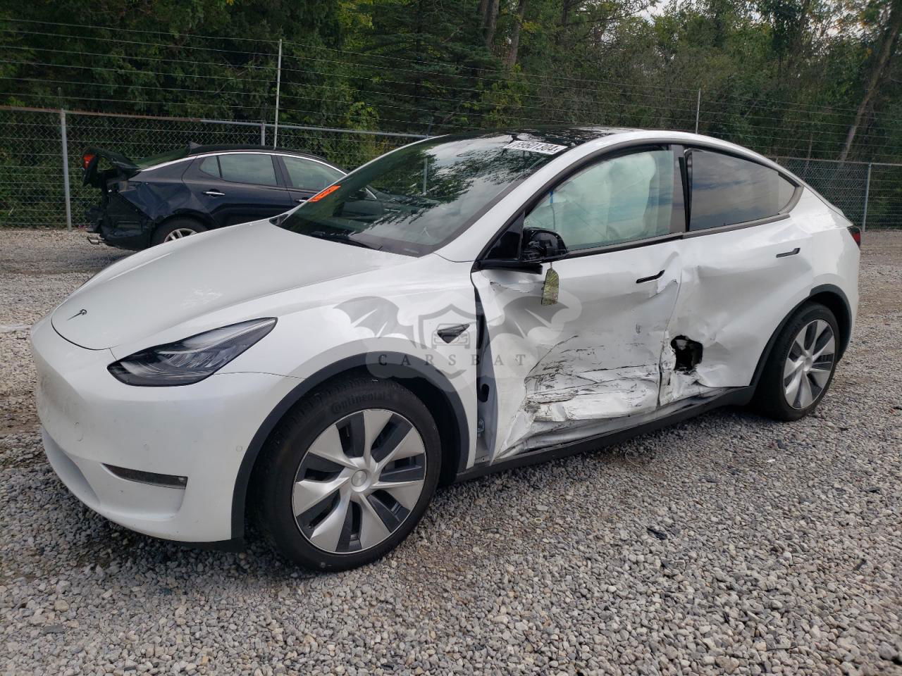 Tesla Model Y 2021