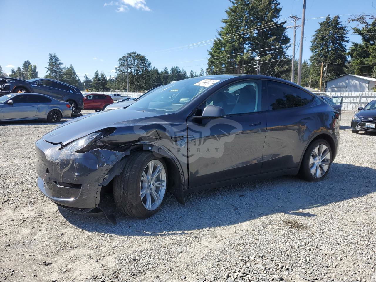 Tesla Model Y 2024