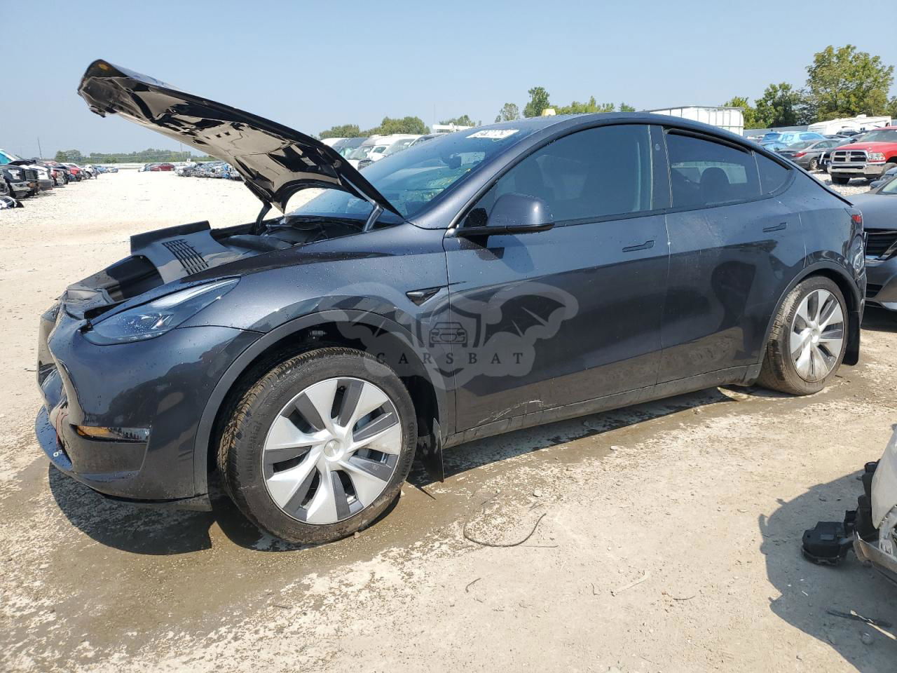 Tesla Model Y 2024