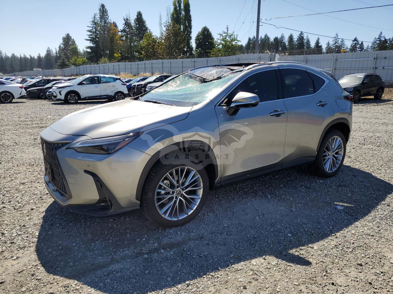 Lexus NX 350 LUXURY 2.4L  4 2024