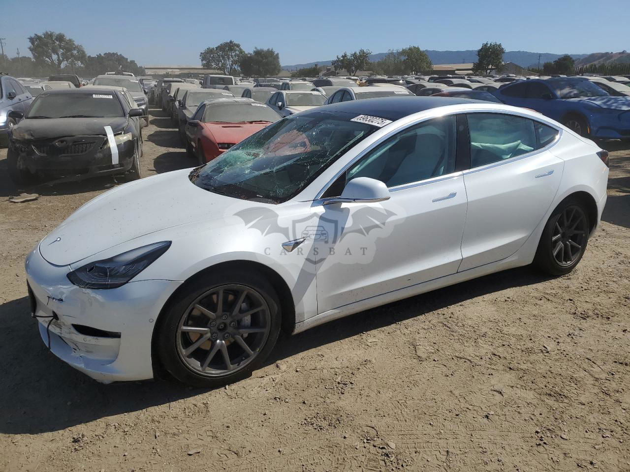 Tesla Model 3 2019