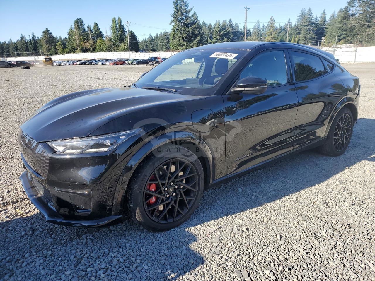 Ford Mustang Mach-E GT 2023