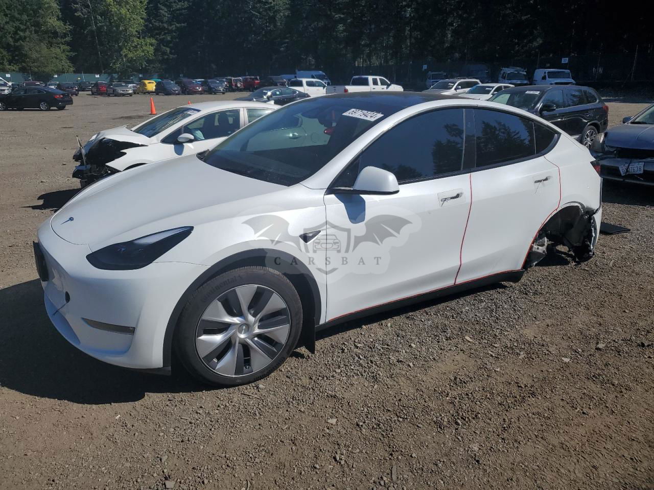 Tesla Model Y 2024
