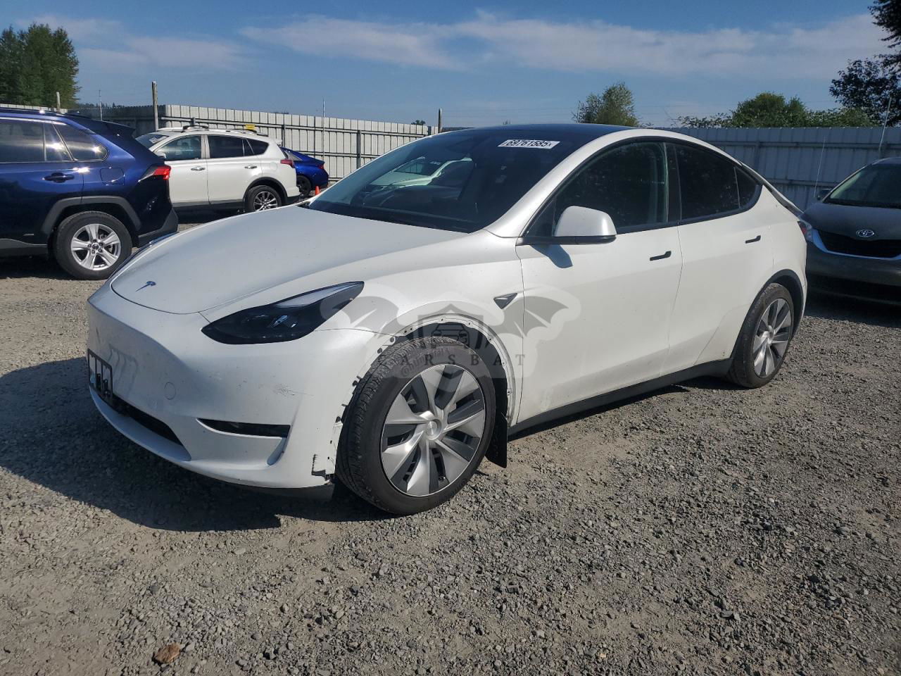 Tesla Model Y 2023