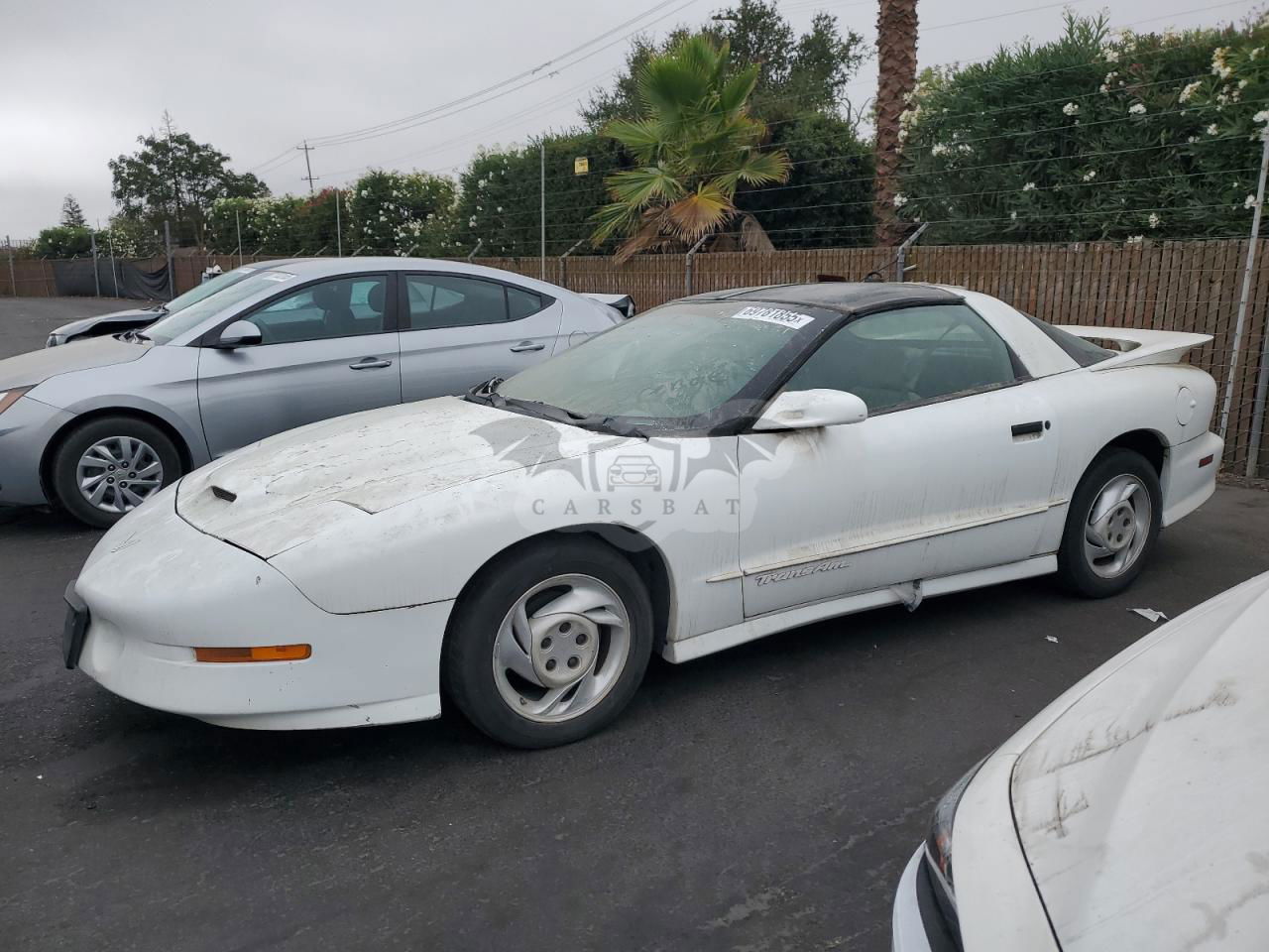 Pontiac Firebird FORMULA 5.7L  8 1997