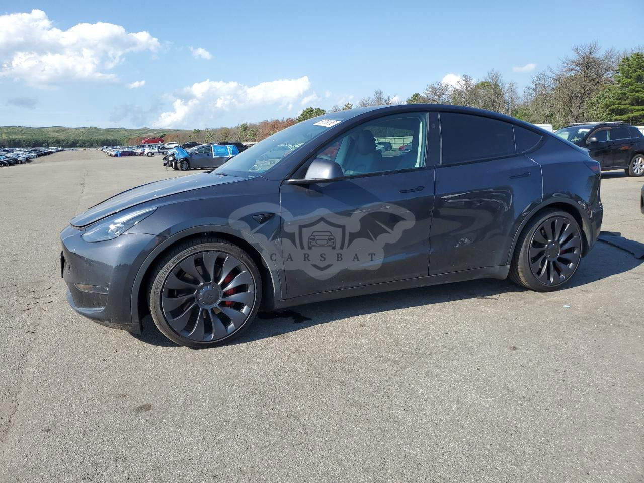 Tesla Model Y 2024