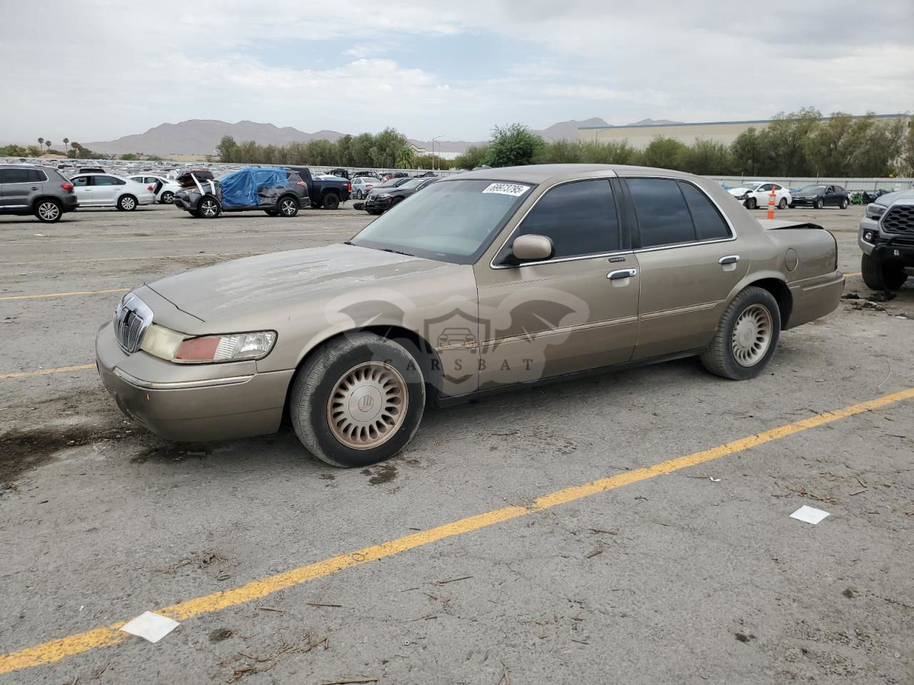 Mercury Grand Marquis LS 4.6L  8 2002