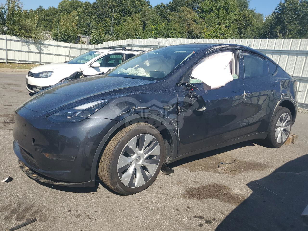 Tesla Model Y 2024
