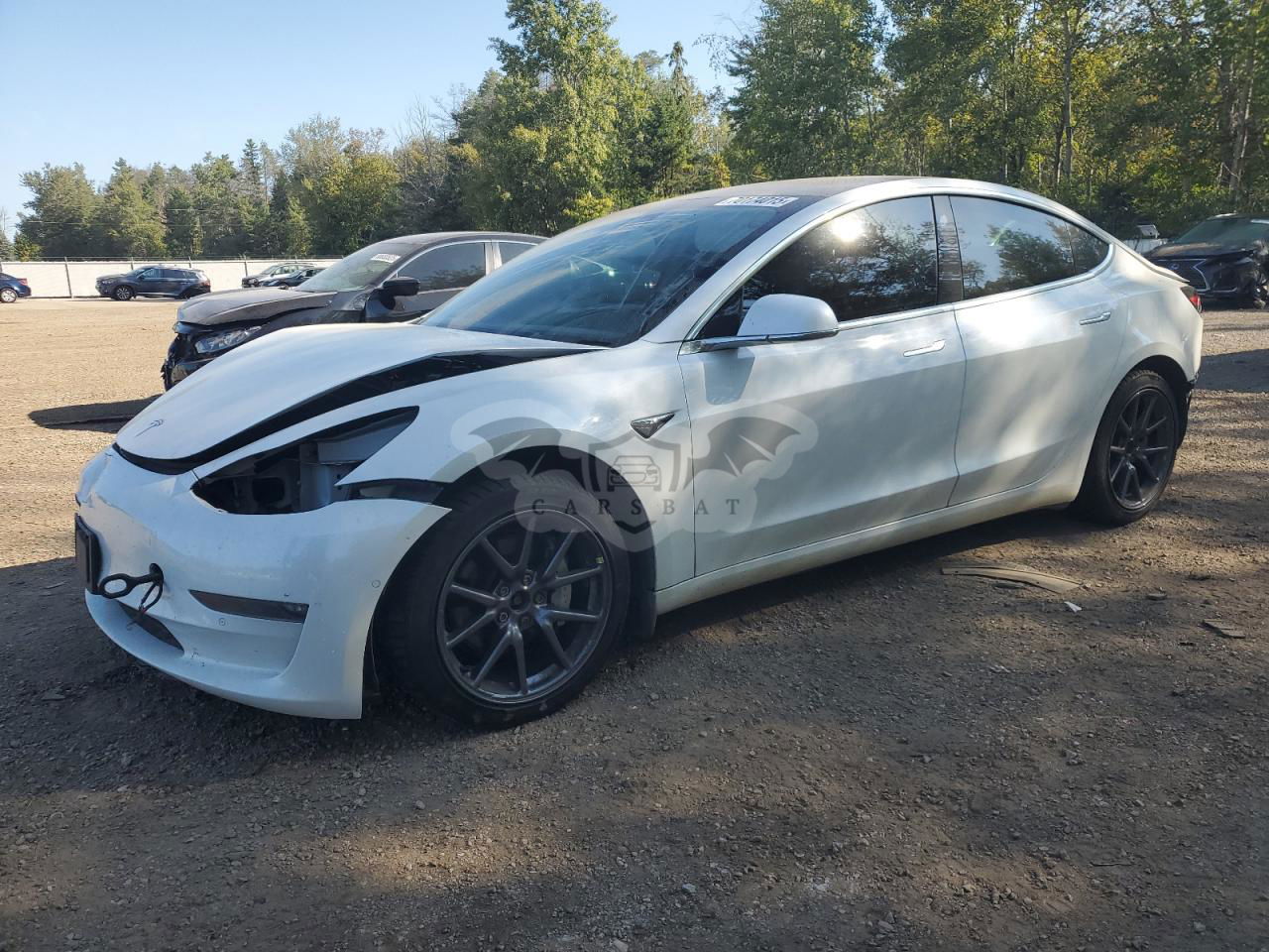 Tesla Model 3 2020