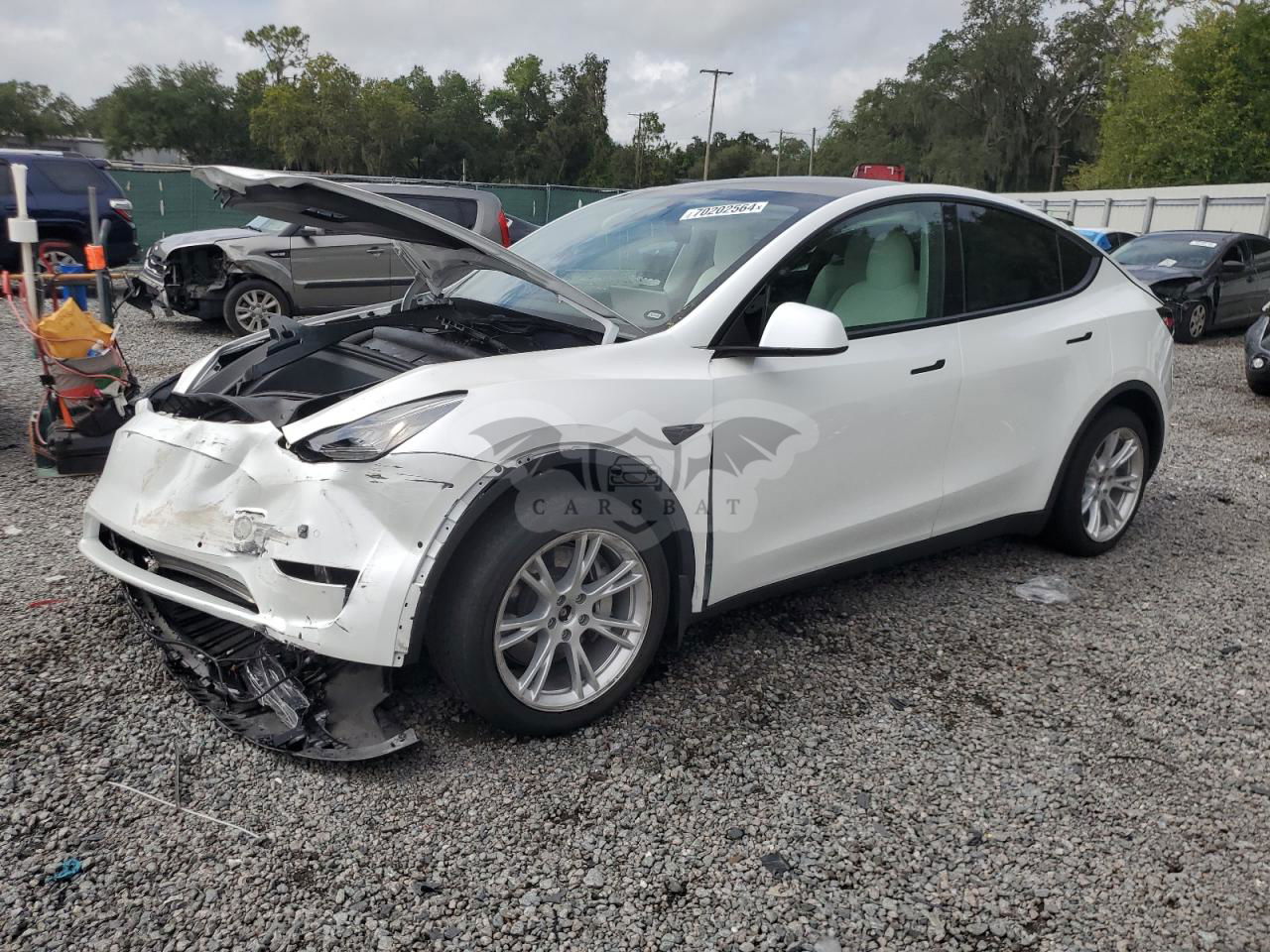 Tesla Model Y 2021
