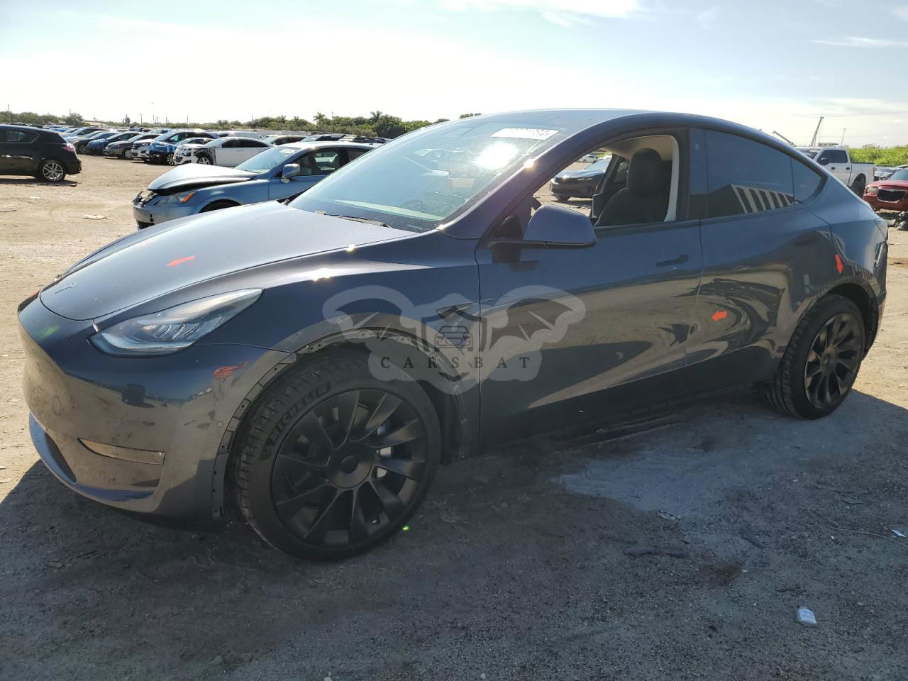 Tesla Model Y 2020