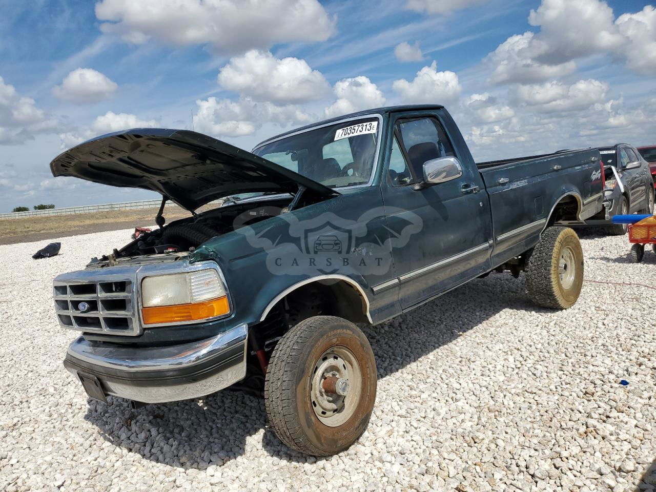 Ford F-150 5.8L  8 1995