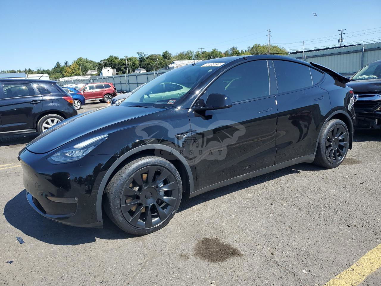 Tesla Model Y 2021