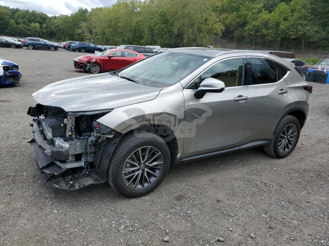 Lexus NX 250 PREMIUM 2.5L  4 2024