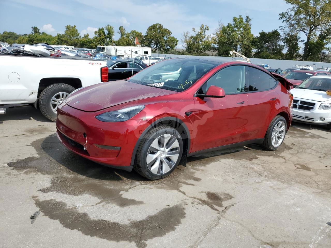 Tesla Model Y 2024