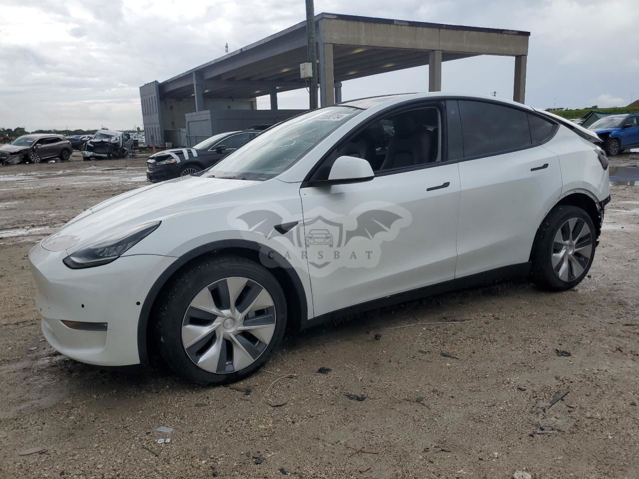 Tesla Model Y 2020
