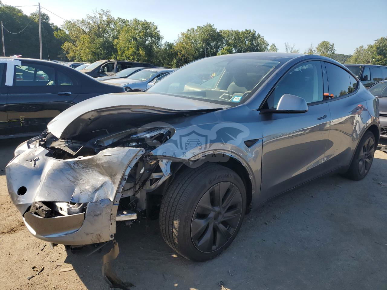 Tesla Model Y 2024