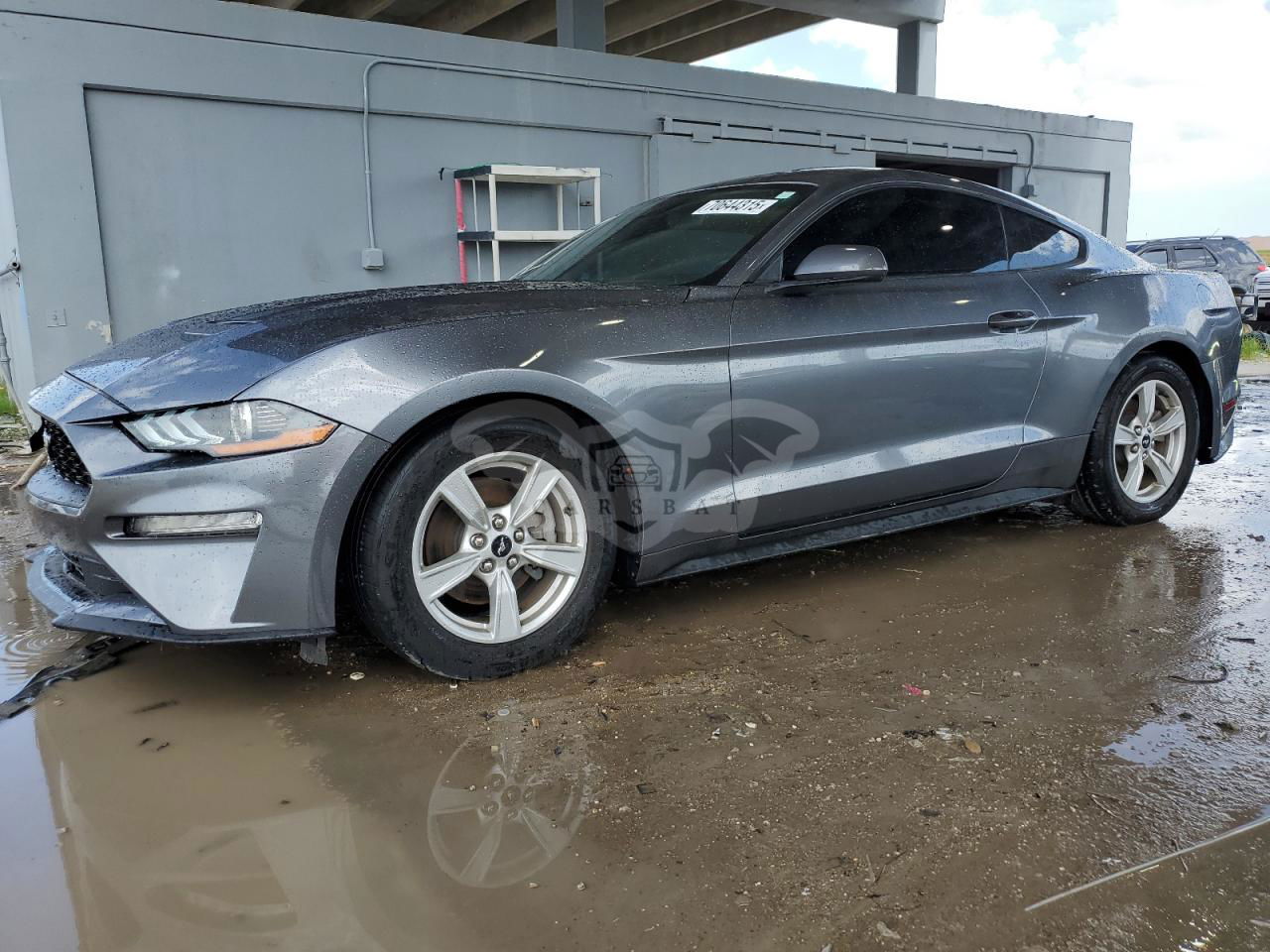 Ford Mustang 2.3L  4 2021
