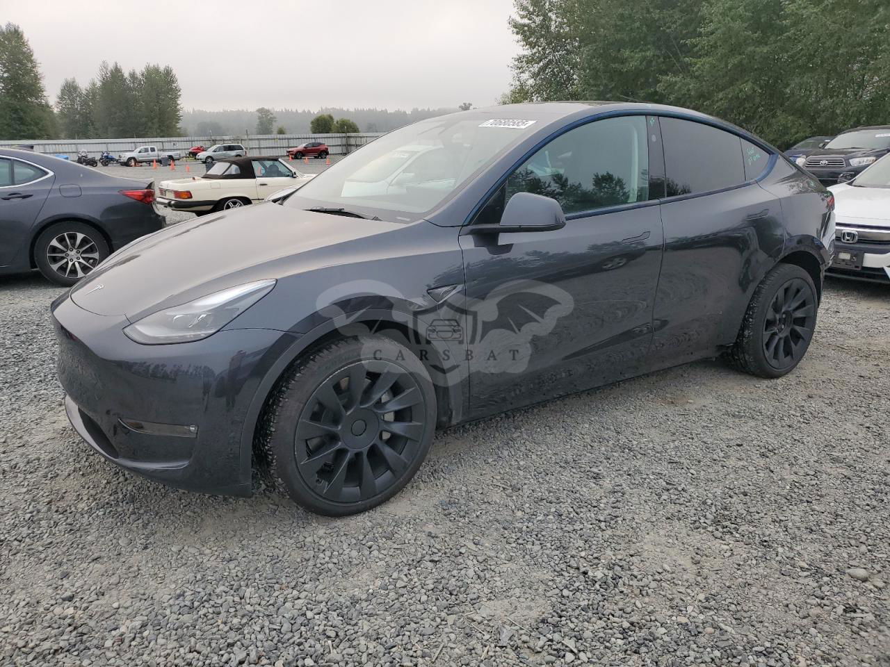 Tesla Model Y 2024