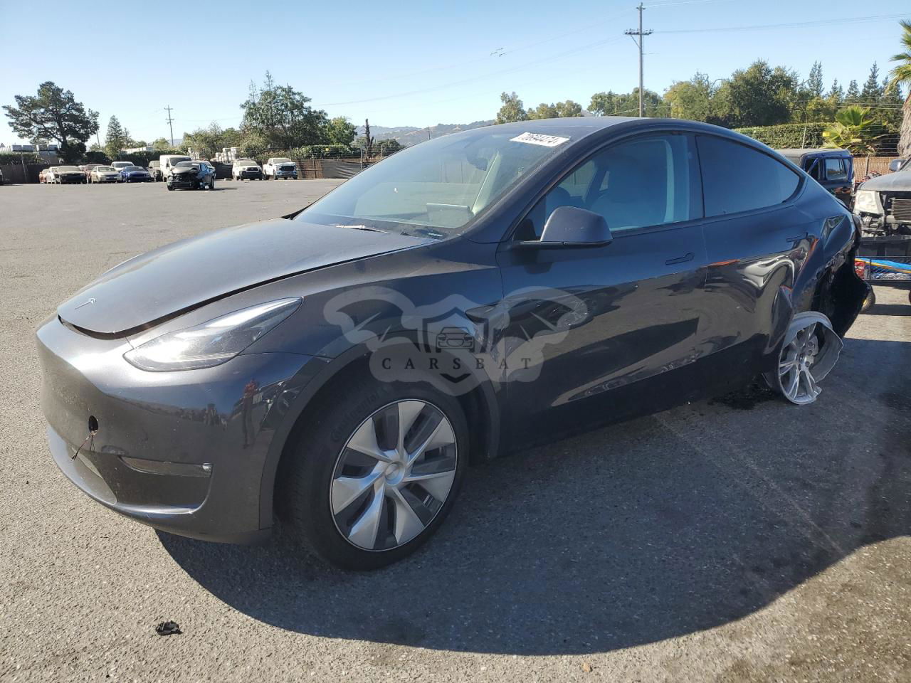 Tesla Model Y 2024