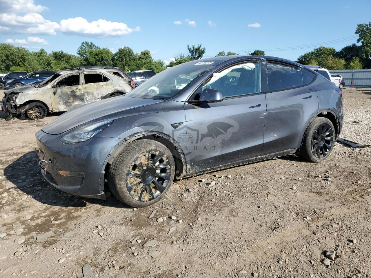Tesla Model Y 2020