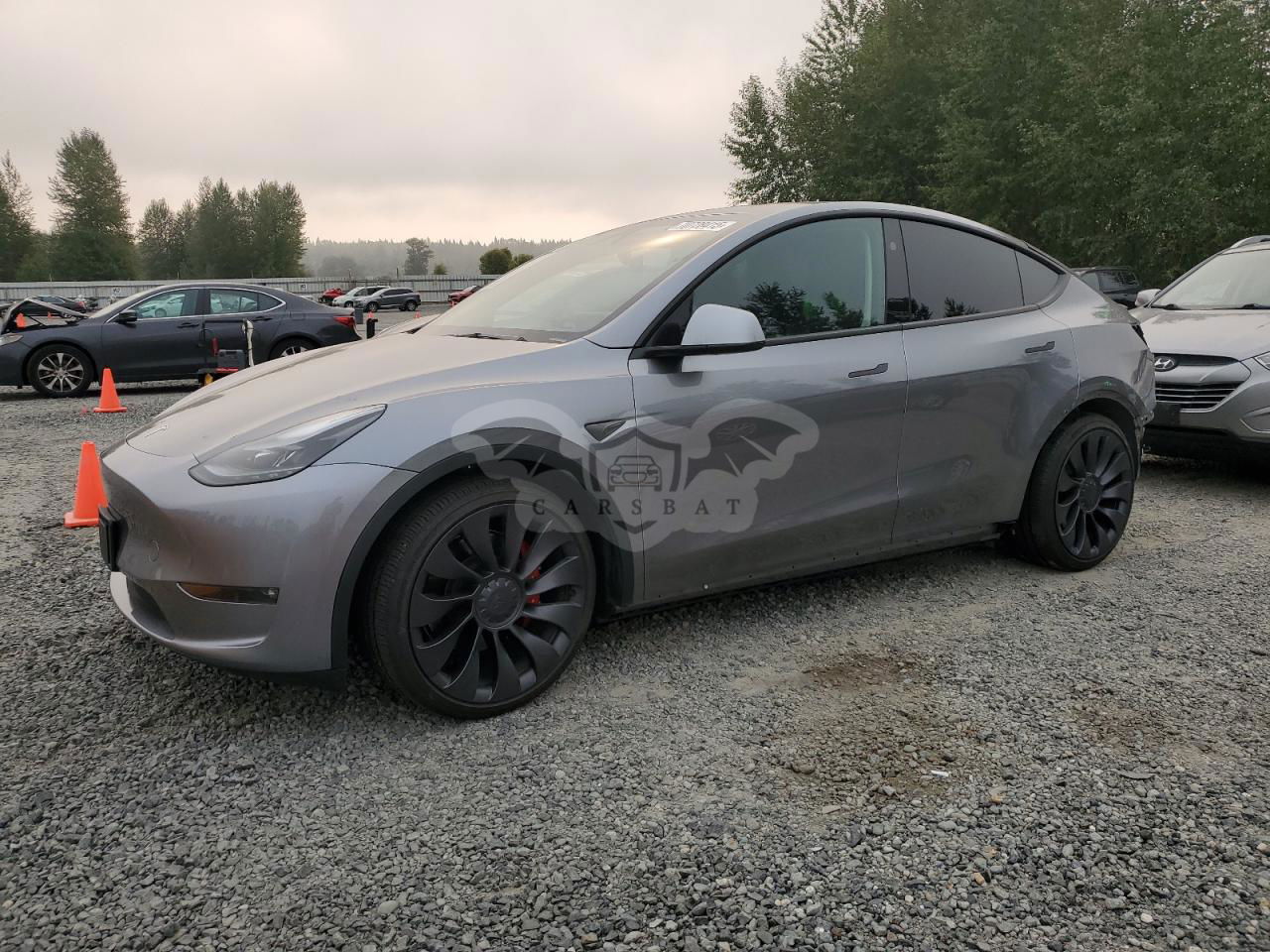 Tesla Model Y 2024