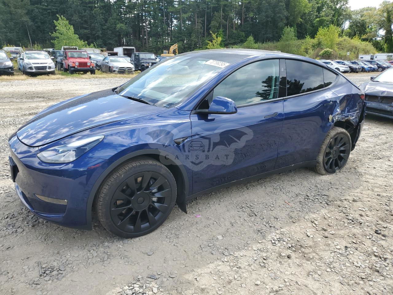 Tesla Model Y 2024