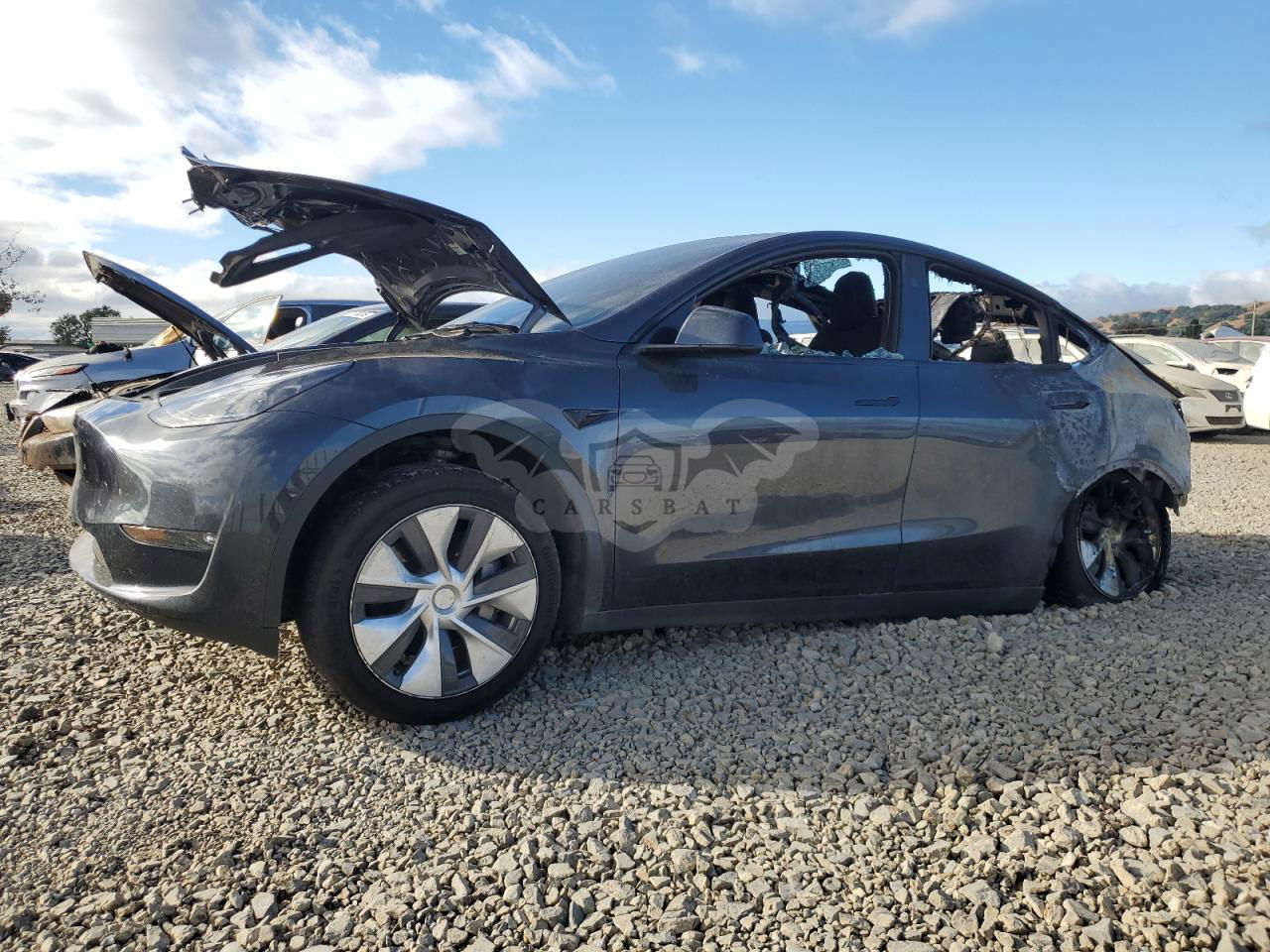 Tesla Model Y 2024