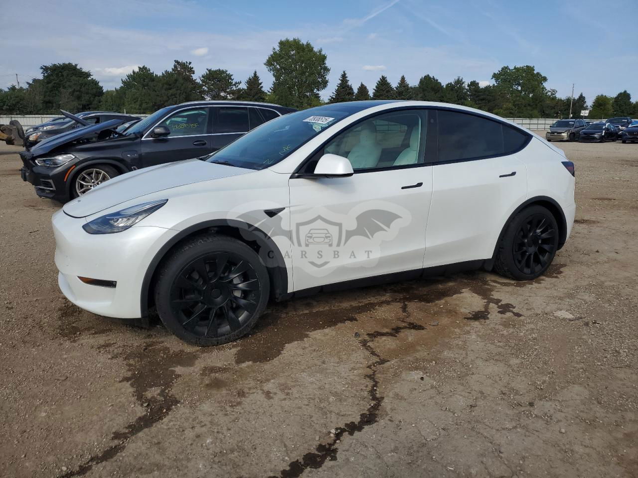 Tesla Model Y 2021