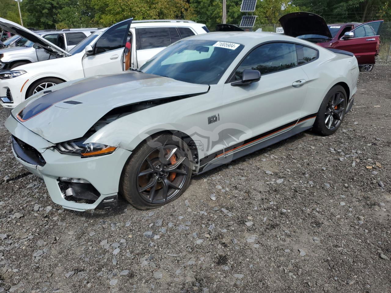 Ford Mustang MACH I 5.0L  8 2021