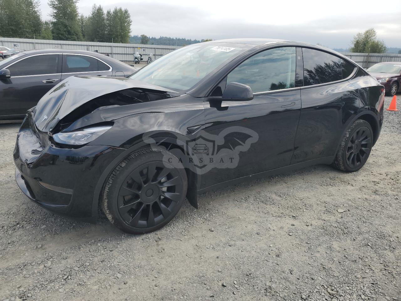 Tesla Model Y 2024