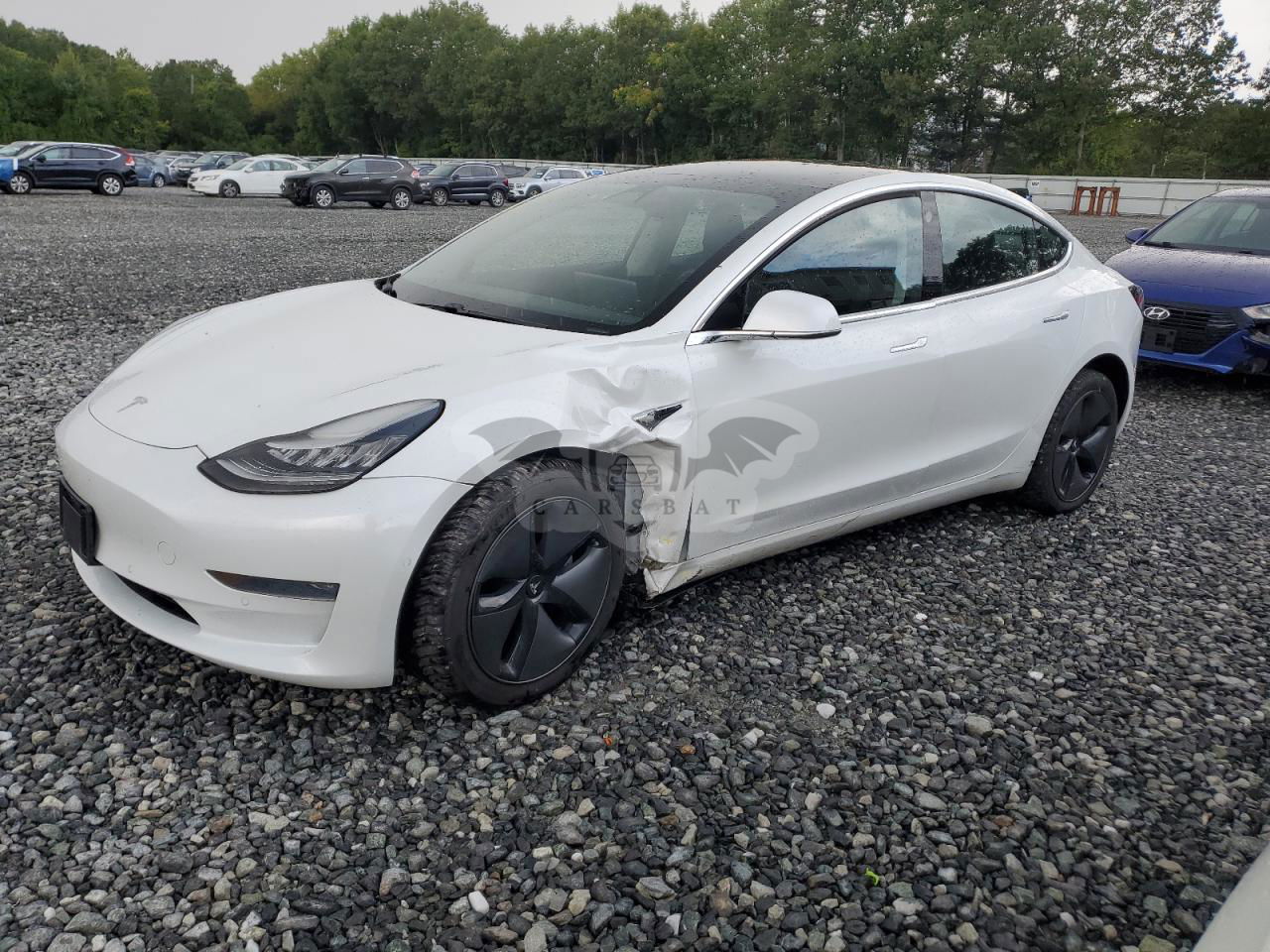 Tesla Model 3 2019