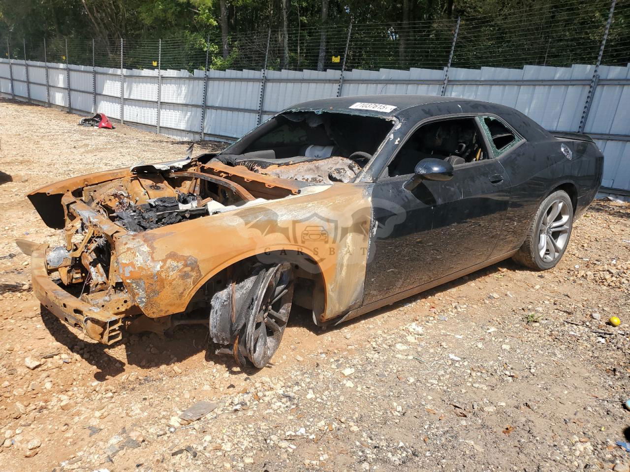 Dodge Challenger R/T 5.7L  8 2021