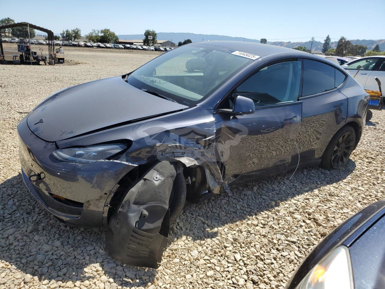 Tesla Model Y 2022