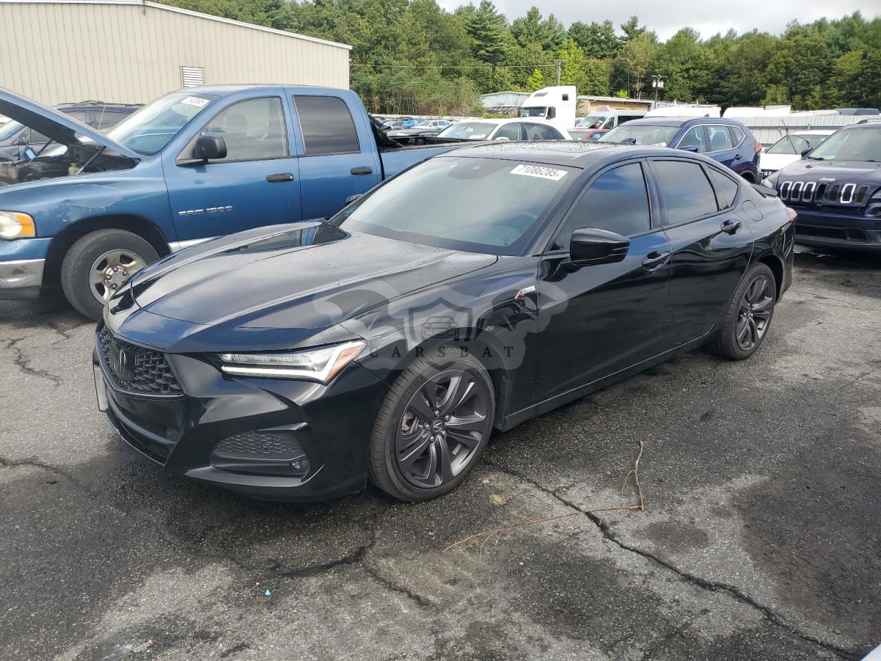 Acura TLX A-SPEC 2.0L  4 2023