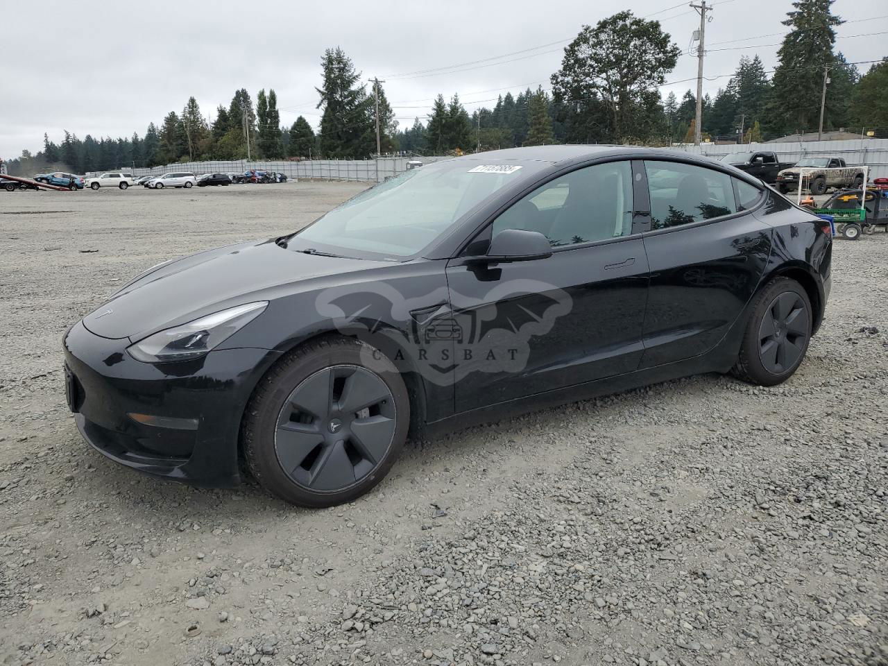 Tesla Model 3 2021