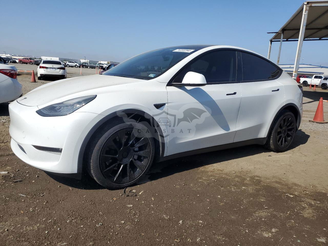 Tesla Model Y 2021