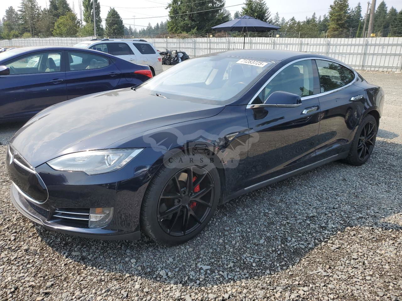 Tesla Model S 2014