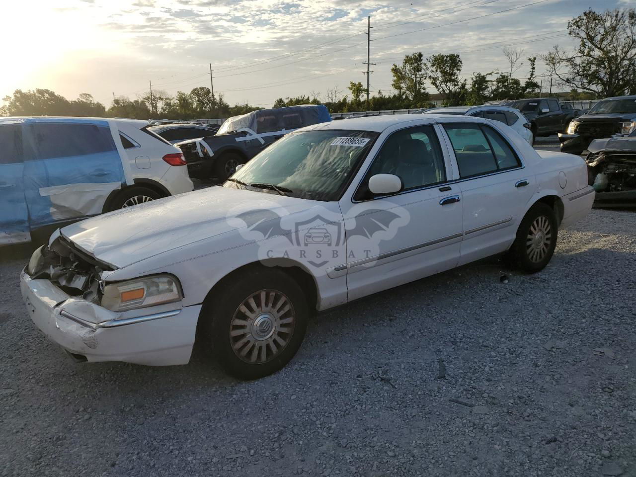 Mercury Grand Marquis LS 4.6L  8 2006