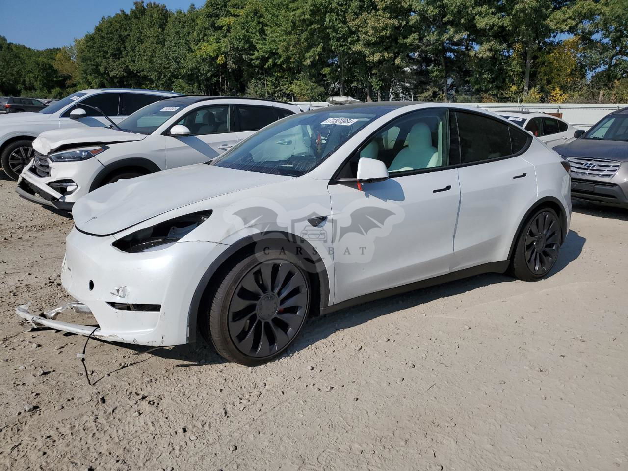 Tesla Model Y 2024