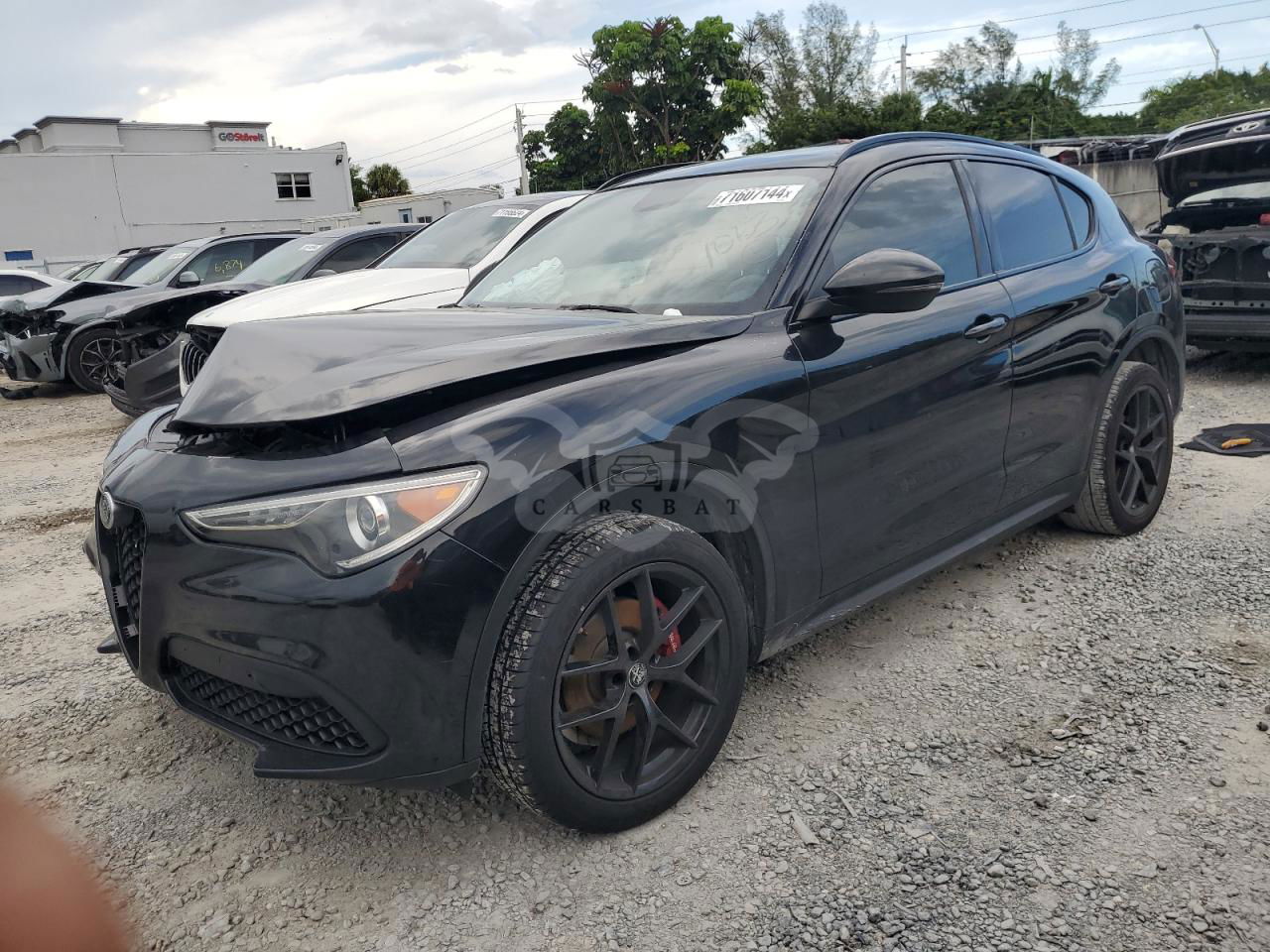 Alfa Romeo Stelvio 2.0L  4 2019