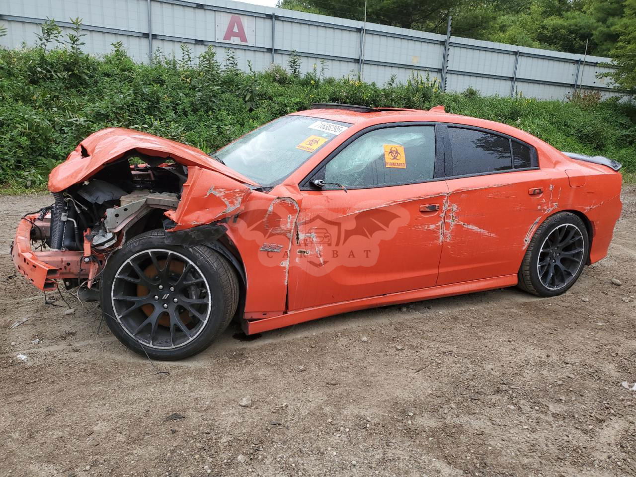 Dodge Charger R/T 392 6.4L  8 2018