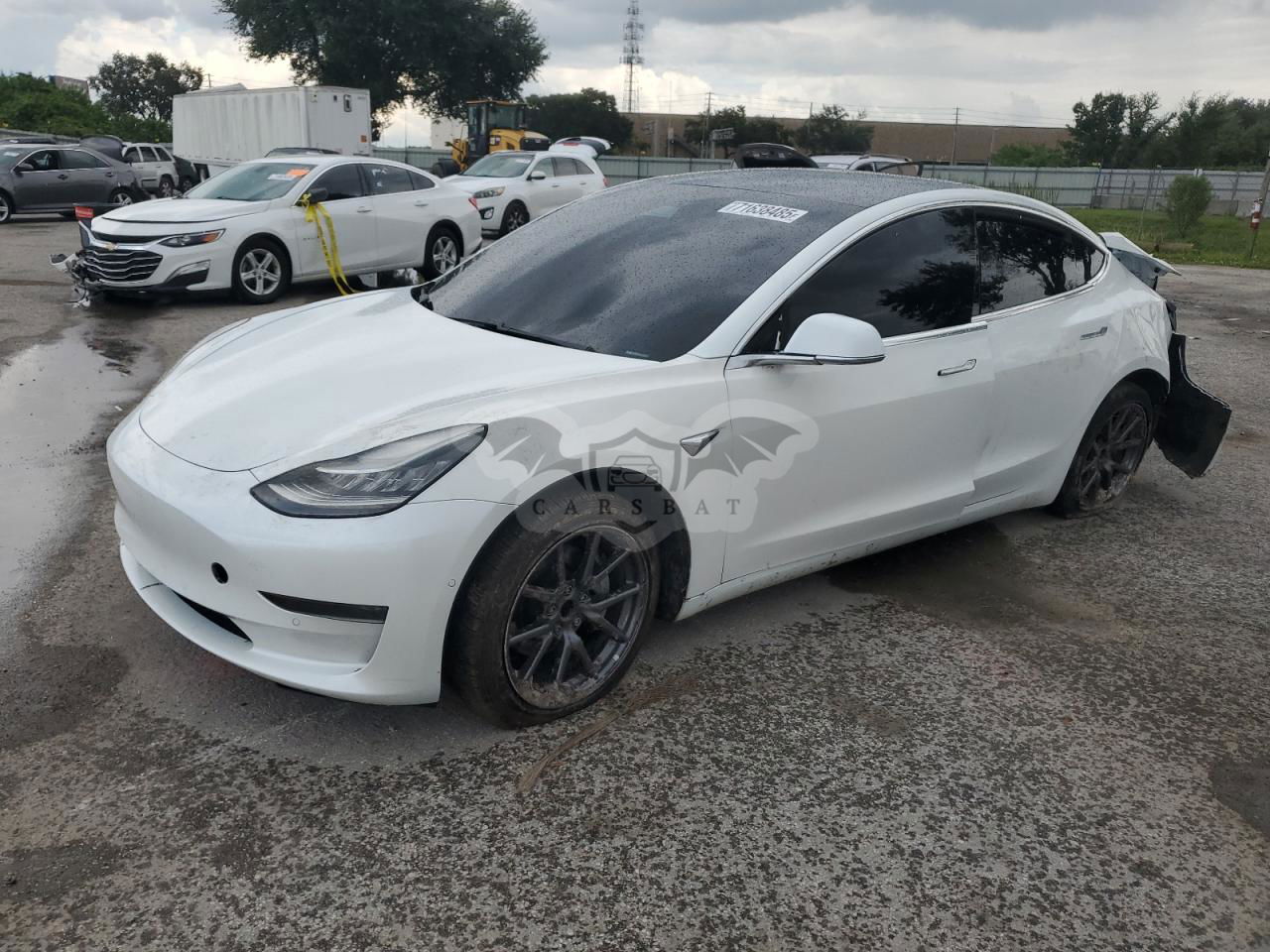 Tesla Model 3 2019