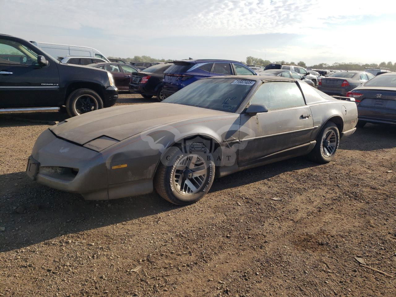 Pontiac Firebird BASE 5.0L  8 1991