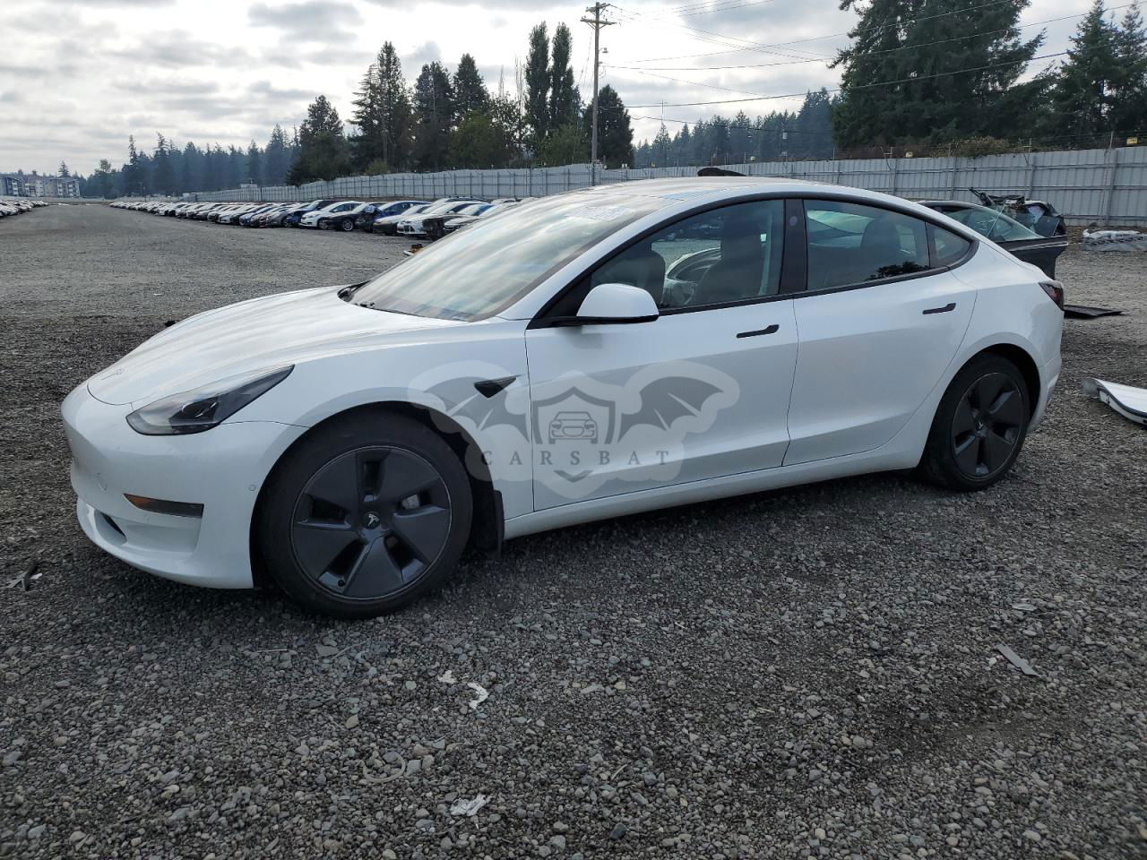 Tesla Model 3 2021